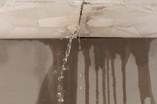 Professional Flood Damage Cleanup technician working in Maple Lake, MN